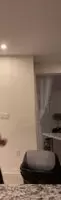 Jiggly