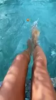 https://gfycat.com/flawlesspartialcassowary