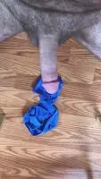 Hand free cum on girlfriends panties