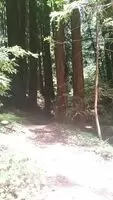 Beating the heat with a nice bit of hiking, anyone want to join?