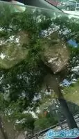 Just two friends having fun