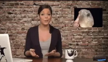 Katie Nolan grabbing her boobs