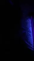 Smoke Session/Blacklight Party Had To Bring Out The Blacklight Paint!! ✋🍑😜❤️