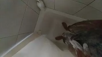 I love hot showers