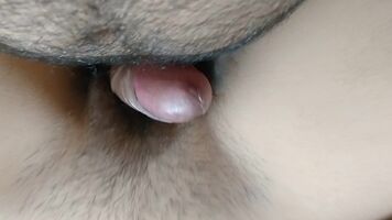 Rubbing my dick against her pussy gets her wet and wild