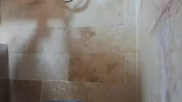 Lil booty shake