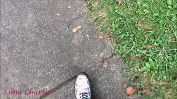 Why not indulge in some late Halloween celebrations and buy my best selling video where I get possessed and fucked by an eldritch Sewer monster? Link in comments of course :)