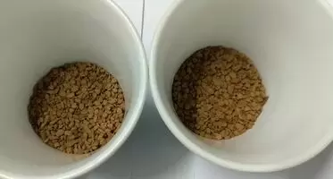 2 cups of piss coffee