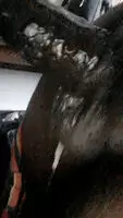 Sloppy 🍆💦 - 🍭