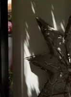 Californication S06E05 Meghan Falcone as Shari ENHANCED 1080p