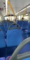 Buses are fun