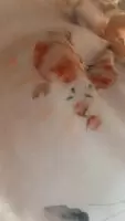 So turned on I just can’t help but inger my naughty little pussy