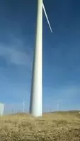 Way bigger than expected