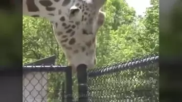 Oh, wow!